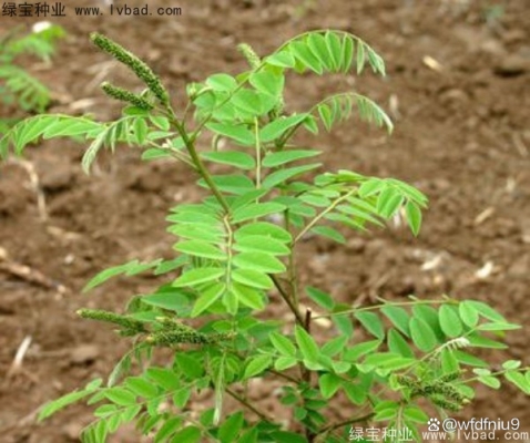 赤峰紫興彩鋼廠電話地址查詢-第1張圖片