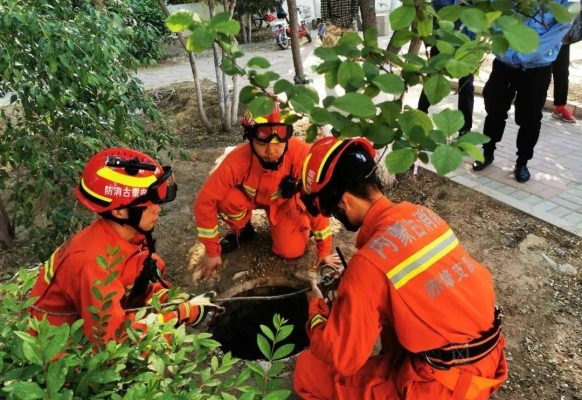 赤峰綠化草簾批發(fā)電話號碼-第1張圖片