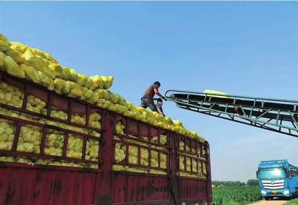 赤峰蔬菜包裝廠家電話號(hào)碼-第1張圖片