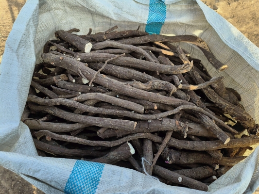 赤峰冷凍品丸子批發(fā)電話號(hào)碼-第1張圖片