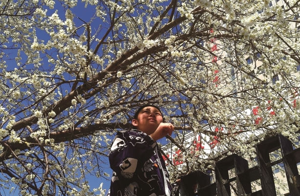 赤峰春光酒店電話多少號(hào)碼-第1張圖片