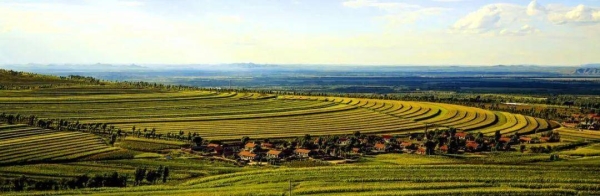 赤峰植物研究所電話號碼-第1張圖片