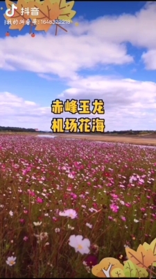 赤峰新機(jī)場酒店推薦電話是多少-第1張圖片