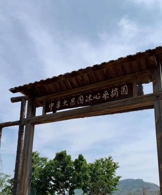 赤峰敖漢櫻桃采摘園電話號(hào)-第1張圖片