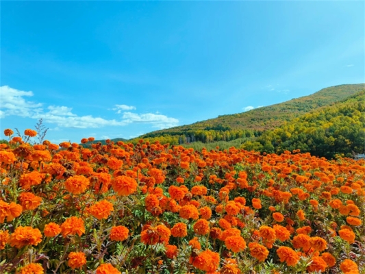 赤峰達(dá)行汽修廠電話號(hào)碼-第1張圖片