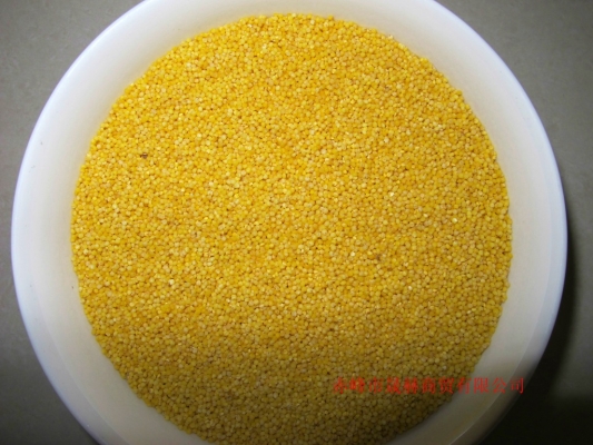 赤峰相宜商貿(mào)有限公司電話號碼-第1張圖片