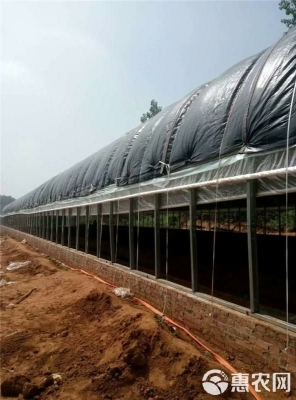 赤峰養(yǎng)雞大棚廠商電話號(hào)碼查詢-第1張圖片