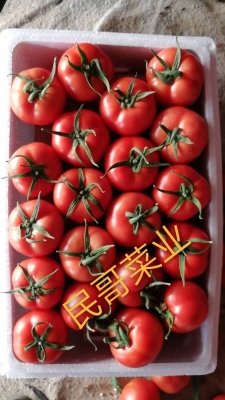 赤峰水果賣貨市場電話號碼多少-第1張圖片