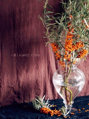 赤峰花店文竹店電話多少號-第1張圖片