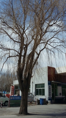 赤峰紅旗商場二樓電話號碼-第1張圖片