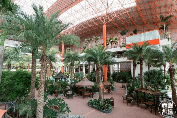 赤峰椰子婚禮訂餐電話多少號(hào)-第1張圖片