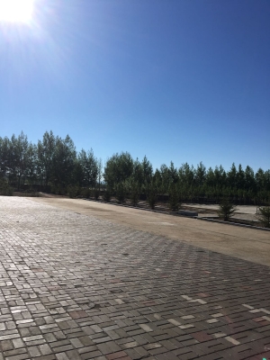 赤峰林西生鮮配送電話號碼-第1張圖片