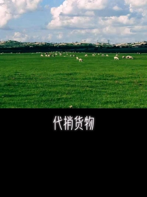 赤峰網(wǎng)約車司機(jī)電話號(hào)碼-第1張圖片