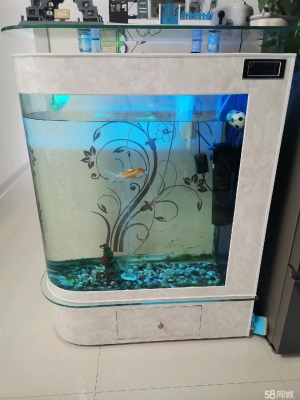 赤峰二手魚缸回收電話號碼-第1張圖片