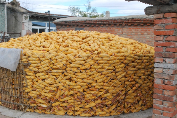 赤峰收?？蜕碳译娫捥柎a-第1張圖片