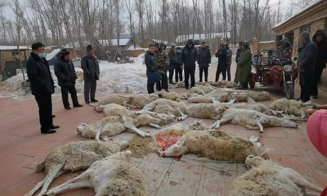 赤峰橋頭檢測站電話多少號-第1張圖片