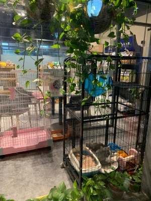 赤峰新城巴迪寵物診所電話號碼-第1張圖片