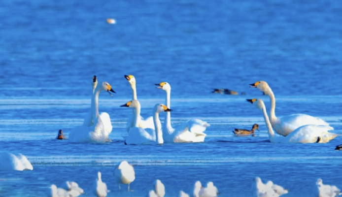 赤峰清泰旅店電話號碼多少-第1張圖片
