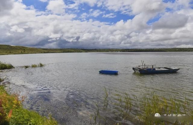 赤峰珍珠回收電話地址是多少號-第1張圖片