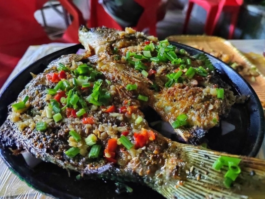 赤峰燒烤研究所地址電話號碼-第1張圖片