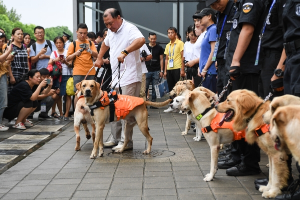 赤峰導(dǎo)盲犬基地電話(huà)多少號(hào)-第1張圖片