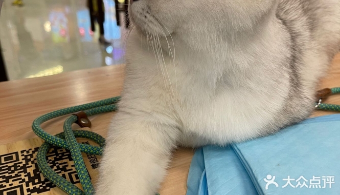 赤峰可達(dá)鴨寵物店電話號(hào)碼-第1張圖片