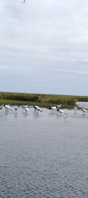 赤峰進(jìn)京檢查站叫什么-第1張圖片