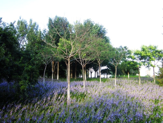 赤峰新城區(qū)興安社區(qū)電話號碼-第1張圖片