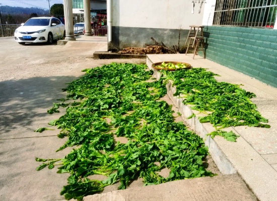 赤峰哪里賣泡菜壇子-第1張圖片