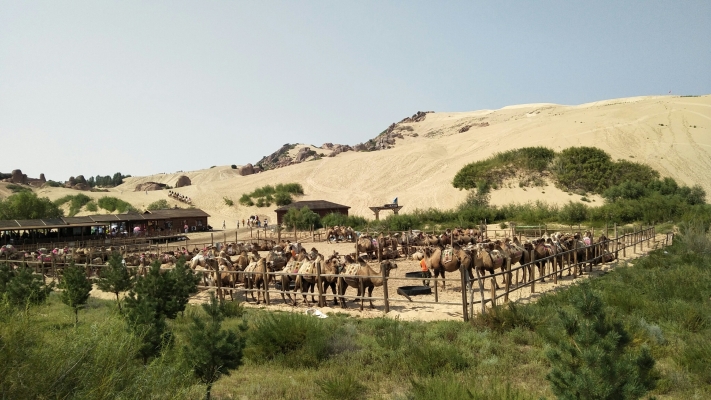 赤峰烏丹飯店預(yù)訂電話號碼-第1張圖片