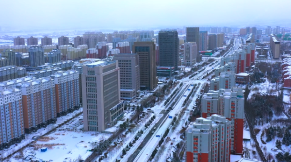 赤峰鵝毛收購(gòu)電話號(hào)碼多少號(hào)-第1張圖片