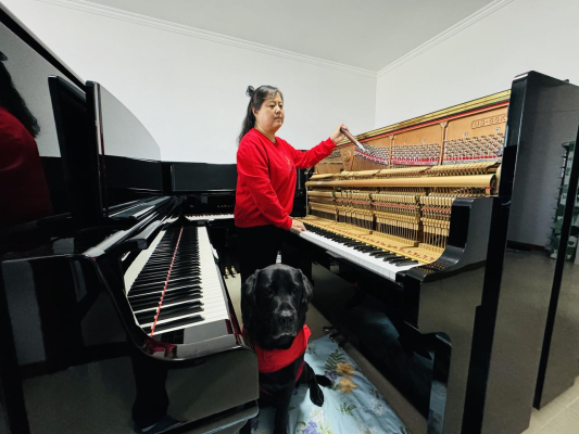 赤峰鋼琴調(diào)琴師招聘電話號(hào)碼-第1張圖片