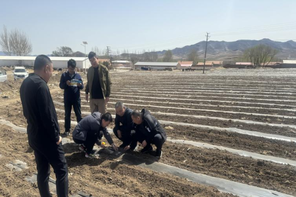 赤峰收糧食電話是多少啊-第1張圖片