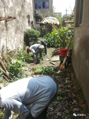 赤峰流浪貓收購電話號碼查詢-第1張圖片