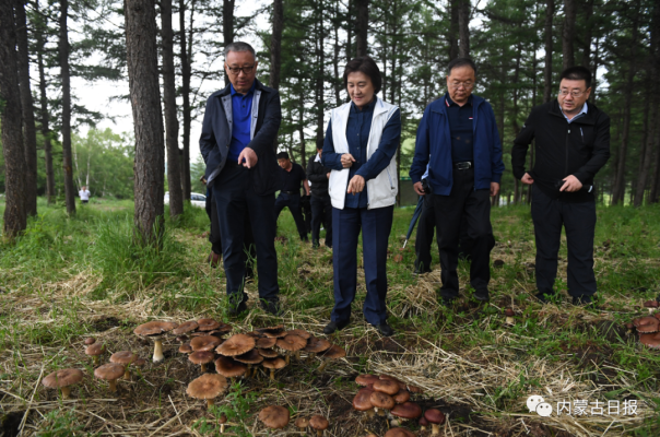 赤峰長(zhǎng)城毛毯專(zhuān)賣(mài)店電話號(hào)碼-第1張圖片