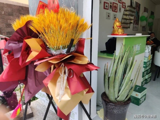 赤峰蘆薈加盟電話(huà)多少啊-第1張圖片