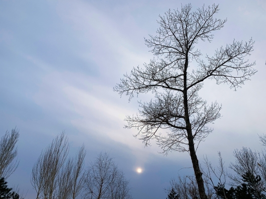 赤峰印興印刷廠電話號(hào)碼-第1張圖片