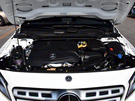 內(nèi)蒙古赤峰奔馳牧場電話號碼-第1張圖片