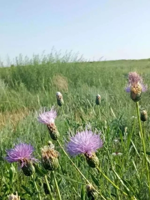 赤峰市遠(yuǎn)征物流老總電話號(hào)碼-第1張圖片