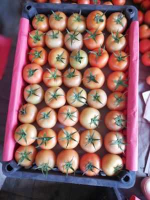 赤峰市喀喇沁旗河濱社區(qū)電話號(hào)碼-第1張圖片