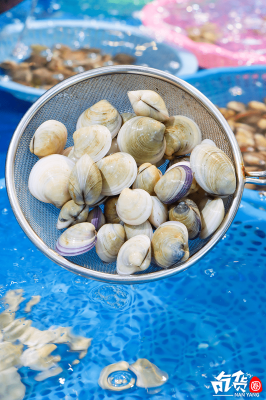 赤峰海鮮鮑魚專賣店電話號(hào)碼-第1張圖片