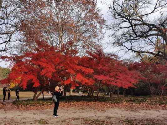 赤峰楓北動物園電話號碼-第1張圖片