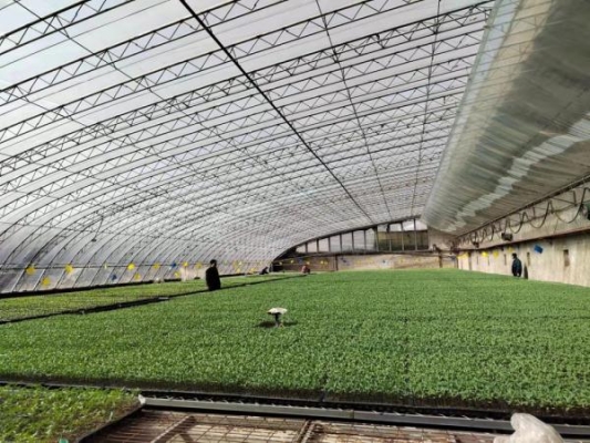 赤峰新希望賣房電話多少號-第1張圖片