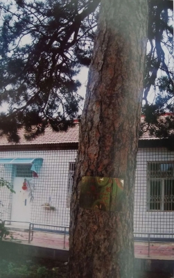 赤峰王府鎮(zhèn)小學(xué)電話號(hào)碼是多少-第1張圖片