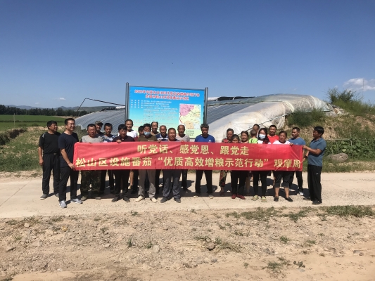 赤峰西紅柿 批發(fā)市場(chǎng)電話號(hào)碼-第1張圖片