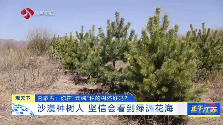 赤峰種樹基地在哪里啊電話多少-第1張圖片