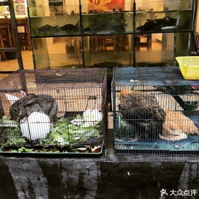 赤峰張記瓜子店地址電話號(hào)碼-第1張圖片