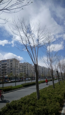 赤峰颶風(fēng)健身會所電話號碼查詢-第1張圖片