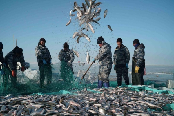 赤峰小平水產(chǎn)店電話多少號-第1張圖片