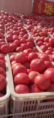 赤峰利家超市電話號(hào)碼多少-第1張圖片